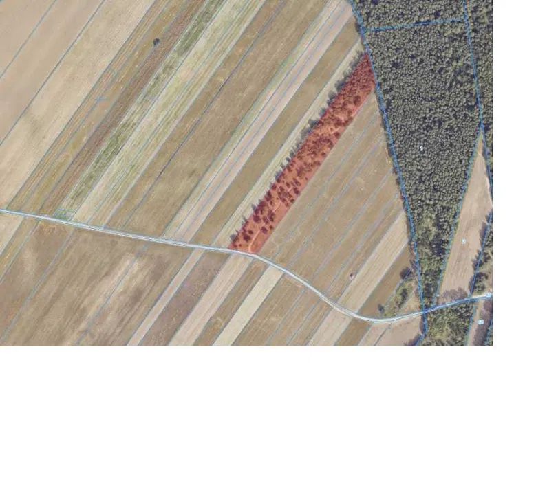 Działka inwestycyjna Kraśnica