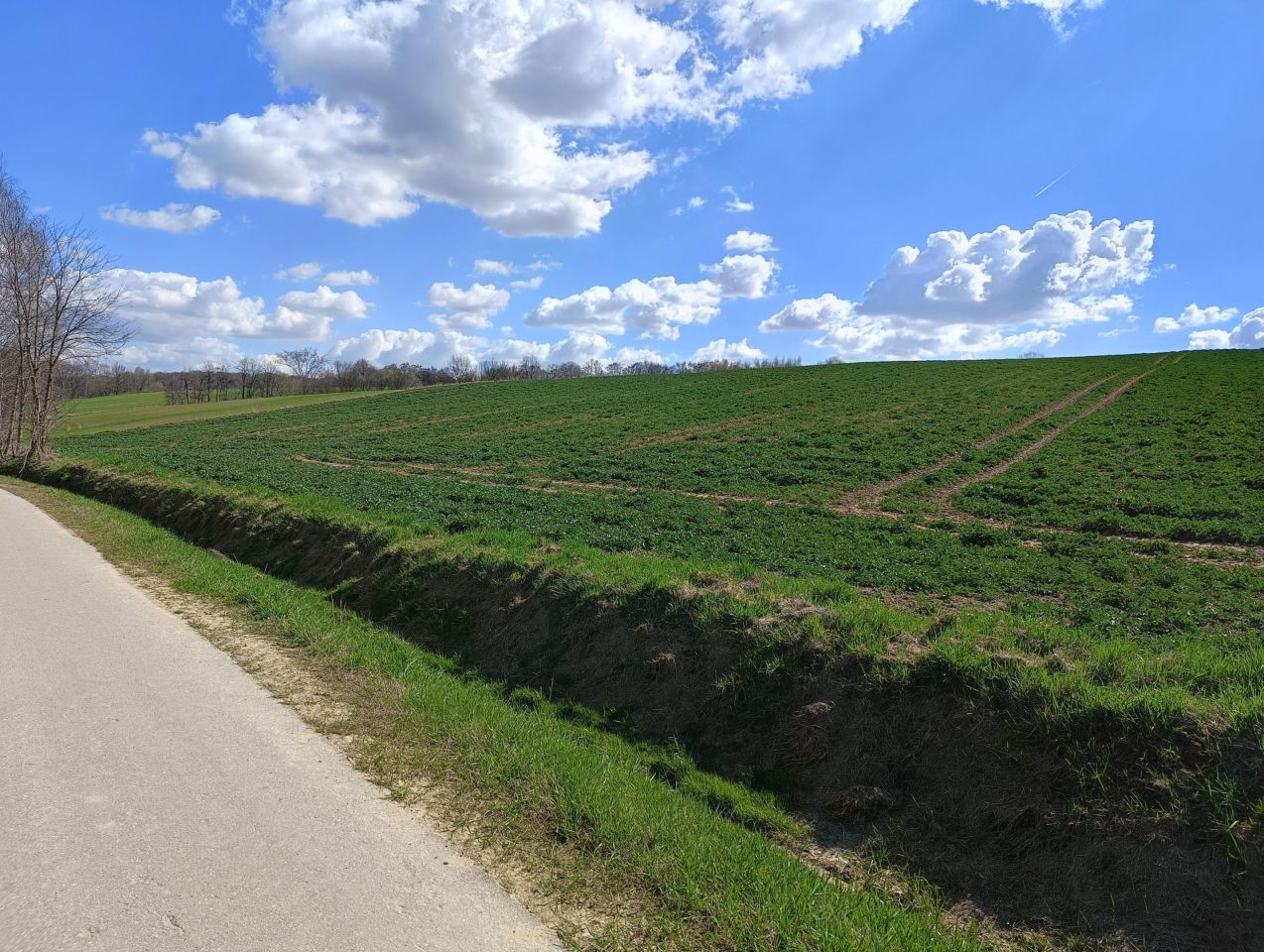 Działka rolna Tochołów. Zdjęcie 3