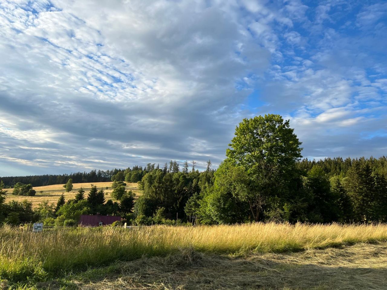 Działka budowlana Bartnica Wyrębina. Zdjęcie 7