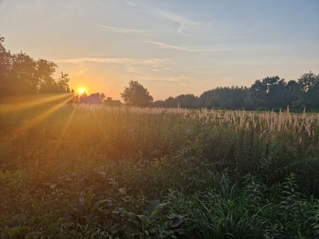 Działka budowlana Zagościniec, ul. Tramwajowa. Zdjęcie 2