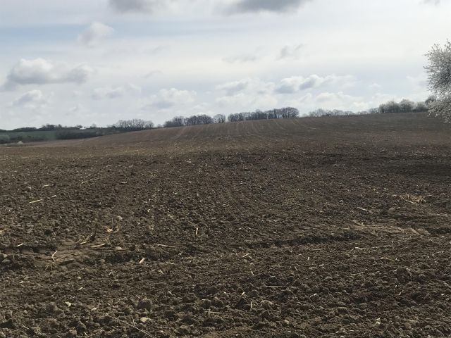 Działka siedliskowa Rogów Wołowski. Zdjęcie 13