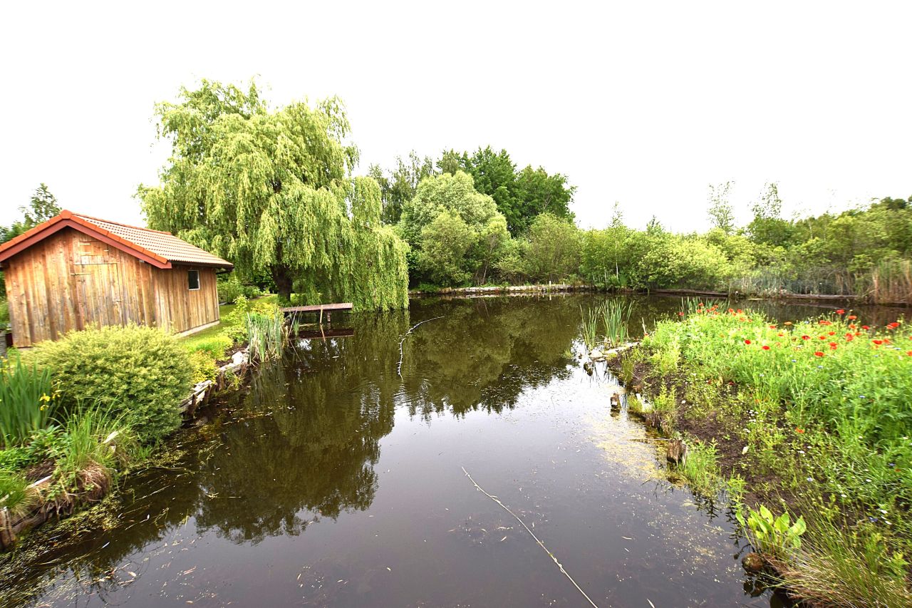 dom wolnostojący, 5 pokoi Różnowo. Zdjęcie 16
