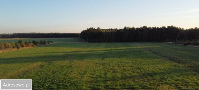 Działka rolna Rudziniec, ul. Polna. Zdjęcie 1