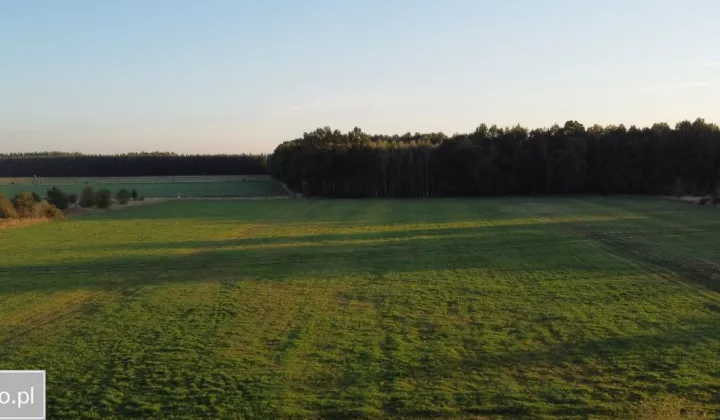 Działka rolna Rudziniec, ul. Polna