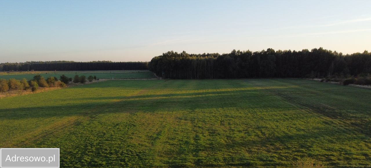 Działka rolna Rudziniec, ul. Polna