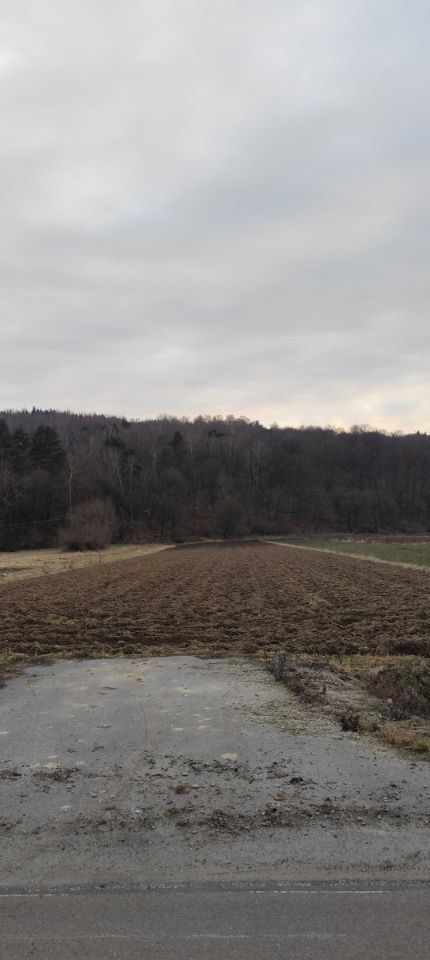 Działka rolna Bachów. Zdjęcie 3