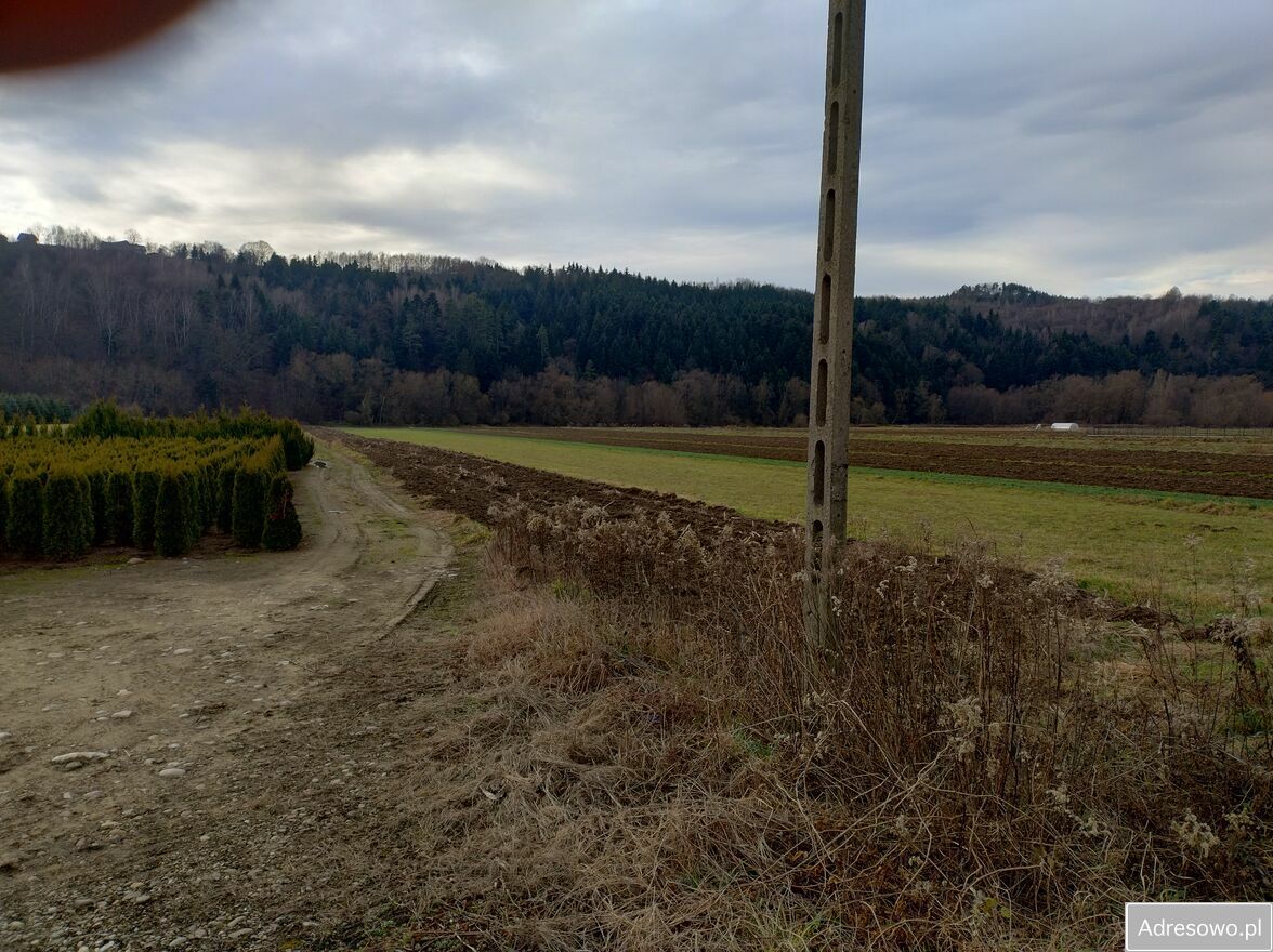 Działka rolna Rożnów Gierowa. Zdjęcie 3