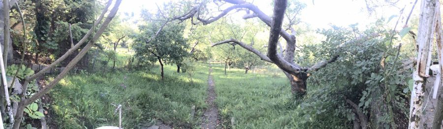 Działka rod Gdańsk Siedlce, ul. Józefa Wieniawskiego. Zdjęcie 3