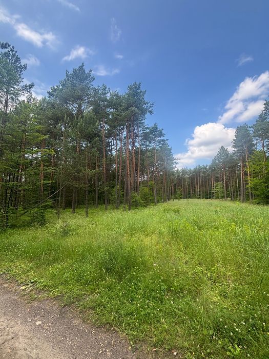 Działka budowlana Ogrodzieniec. Zdjęcie 4