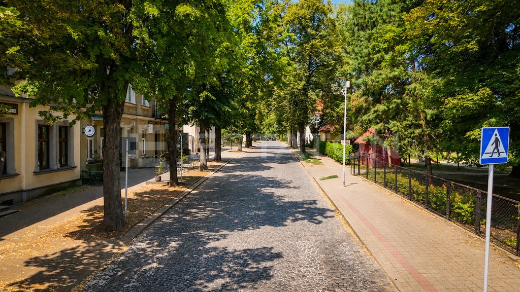 kamienica, 13 pokoi Rzeszów, ul. Reformacka. Zdjęcie 2