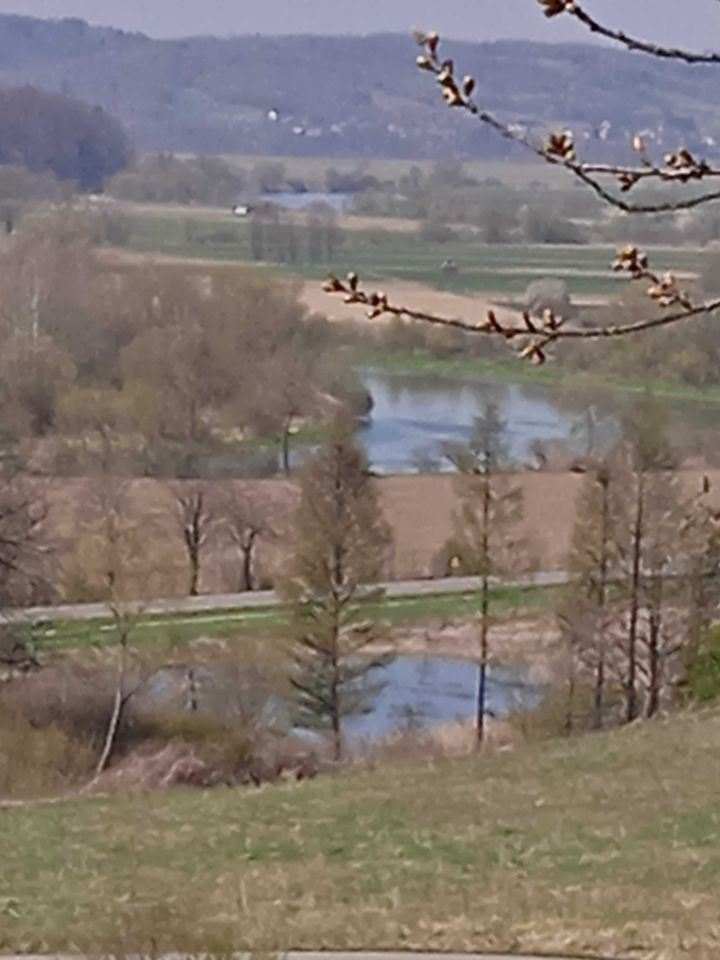 Działka budowlana Krzywcza. Zdjęcie 2