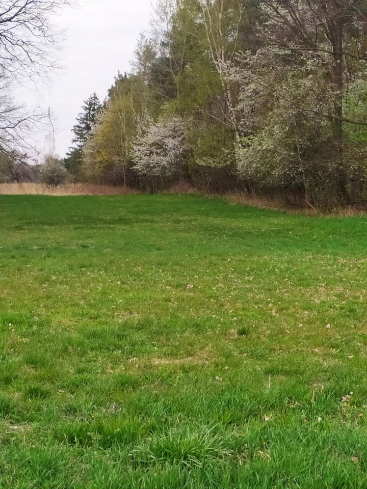 Działka budowlana Kamionka, ul. Leśna. Zdjęcie 8