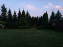 Działka budowlana Janów. Zdjęcie 2