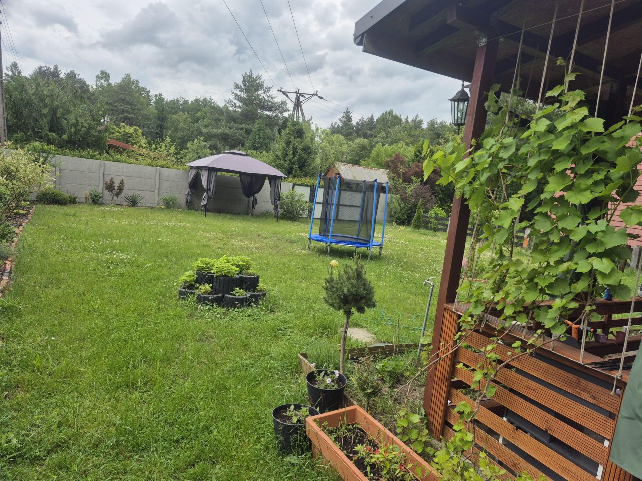 Działka rekreacyjna Ustronie, ul. Srebrna. Zdjęcie 8