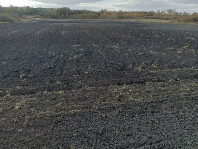 Działka rolna Niewirków. Zdjęcie 1