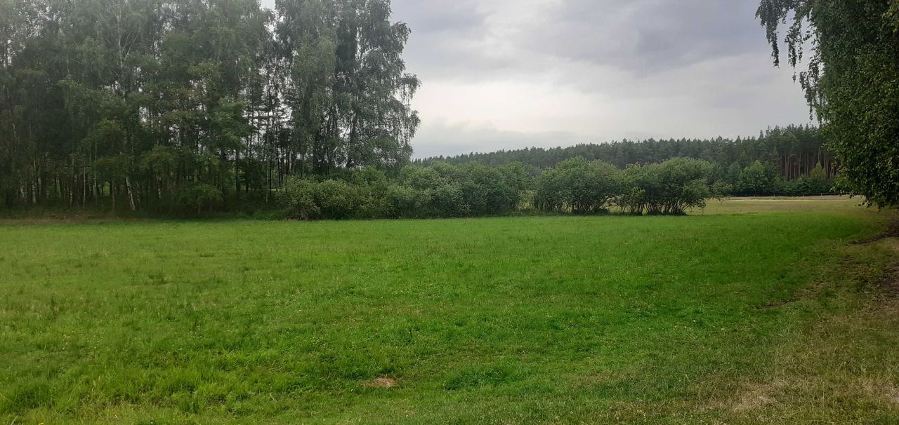 Działka rolna Zielona Góra. Zdjęcie 6