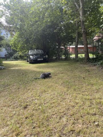 Działka budowlana Dębki. Zdjęcie 1