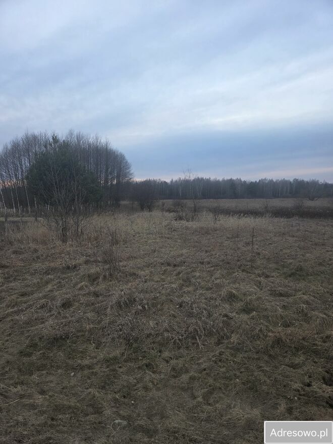 Działka rolna Jamy. Zdjęcie 2