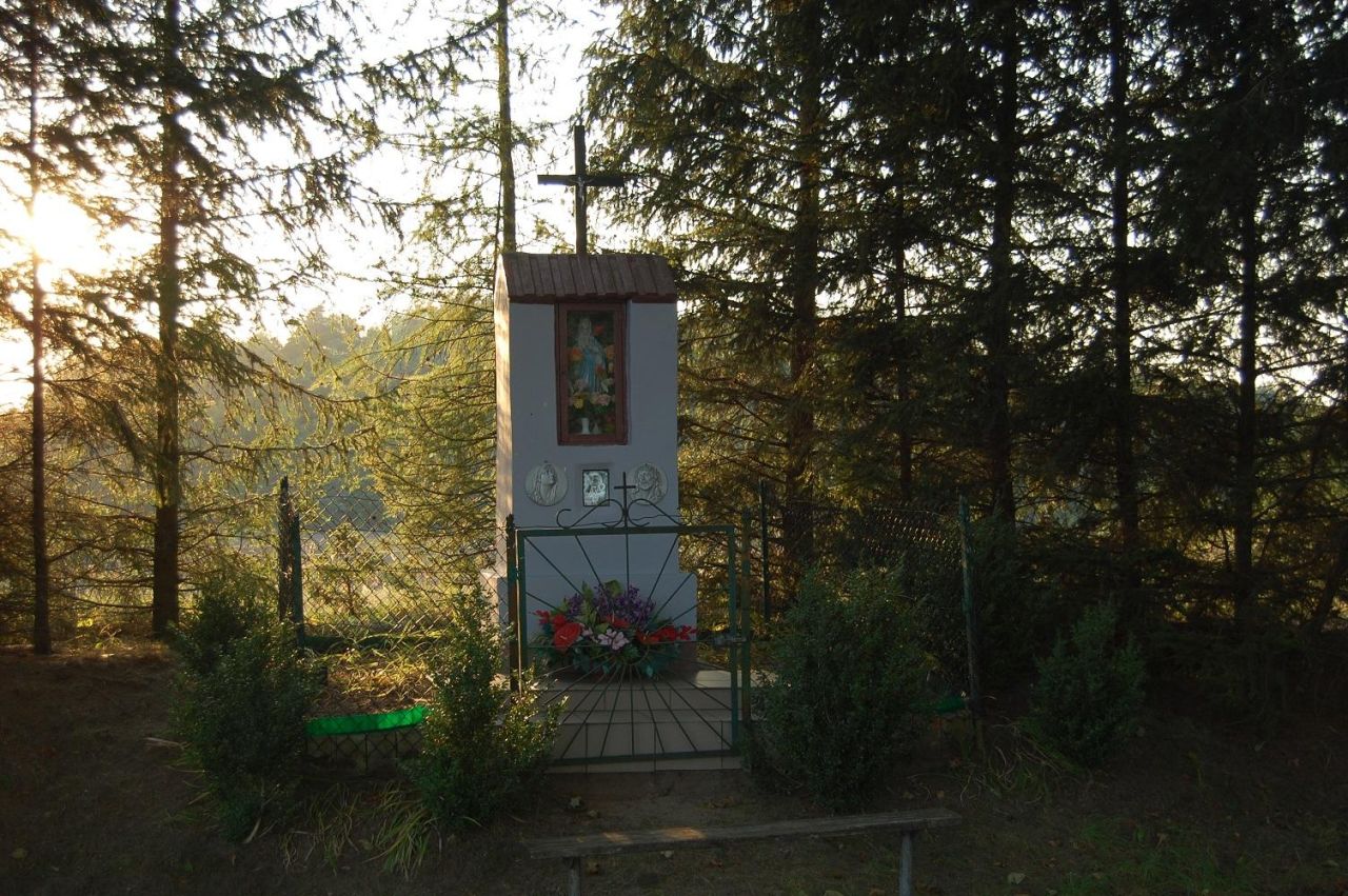 Działka budowlana Rychnowska Wola. Zdjęcie 10