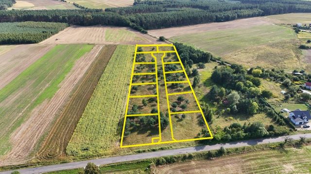Działka rolno-budowlana Lisów. Zdjęcie 1