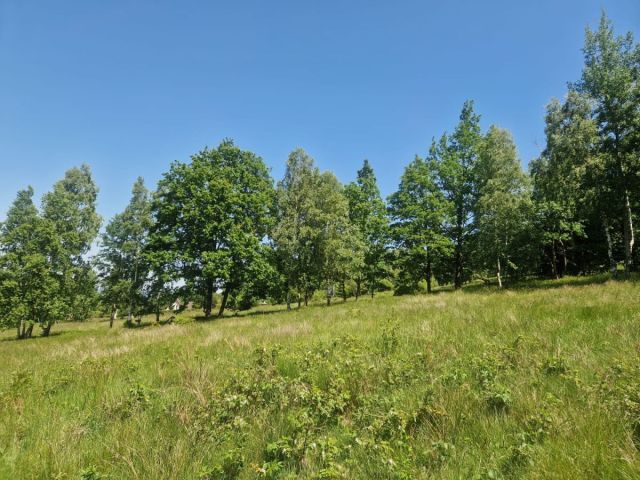 Działka budowlana Świeradów-Zdrój, ul. Osiedlowa. Zdjęcie 3