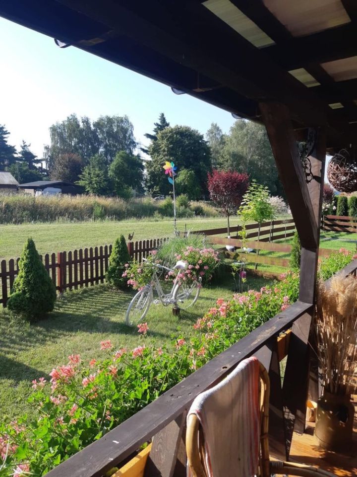 Działka rod Niewiesze. Zdjęcie 5