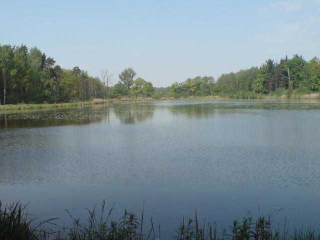 Działka Tychy Czułów. Zdjęcie 1