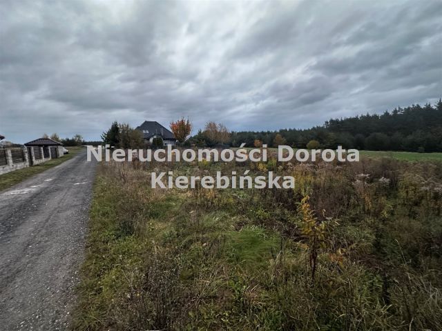 Działka budowlana Wiaderno. Zdjęcie 2