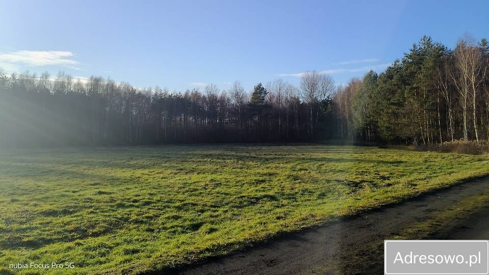 dom wolnostojący, 5 pokoi Jełowa Jeżów-Ług, ul. Leśna. Zdjęcie 11