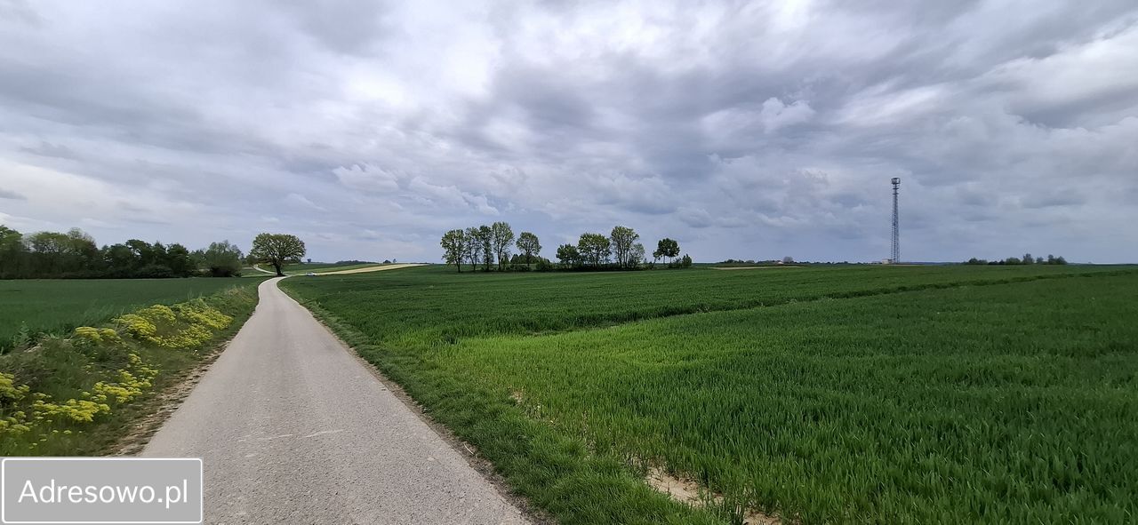 Działka rolna Wysocice Wiktorka. Zdjęcie 5