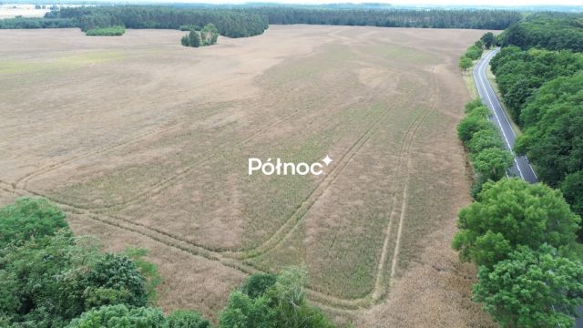 Działka inwestycyjna Dąbrowa Bolesławiecka. Zdjęcie 9