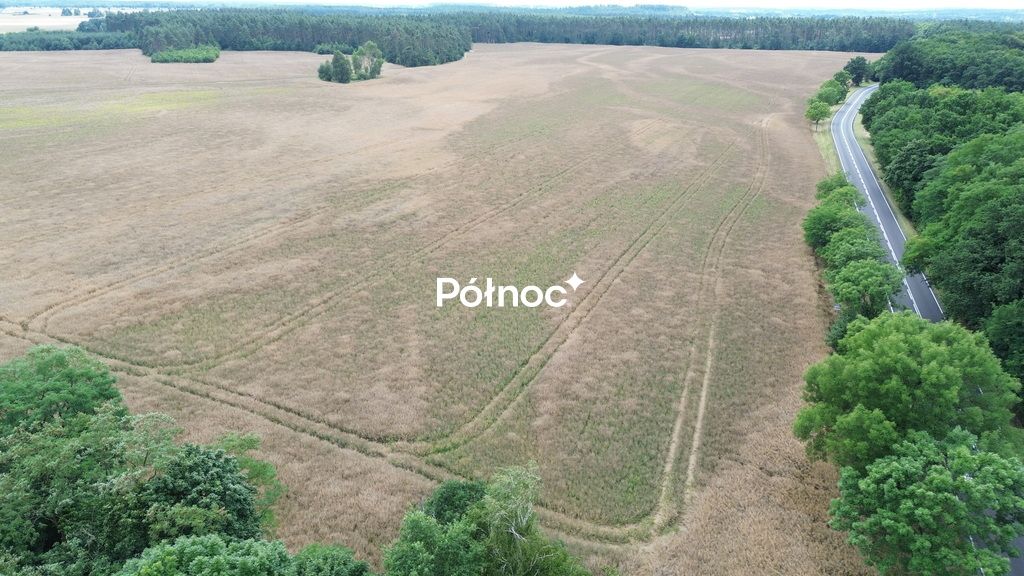 Działka inwestycyjna Dąbrowa Bolesławiecka. Zdjęcie 9