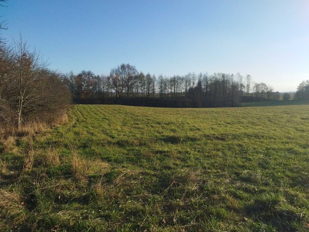 Działka budowlana Kiersztanowo. Zdjęcie 5