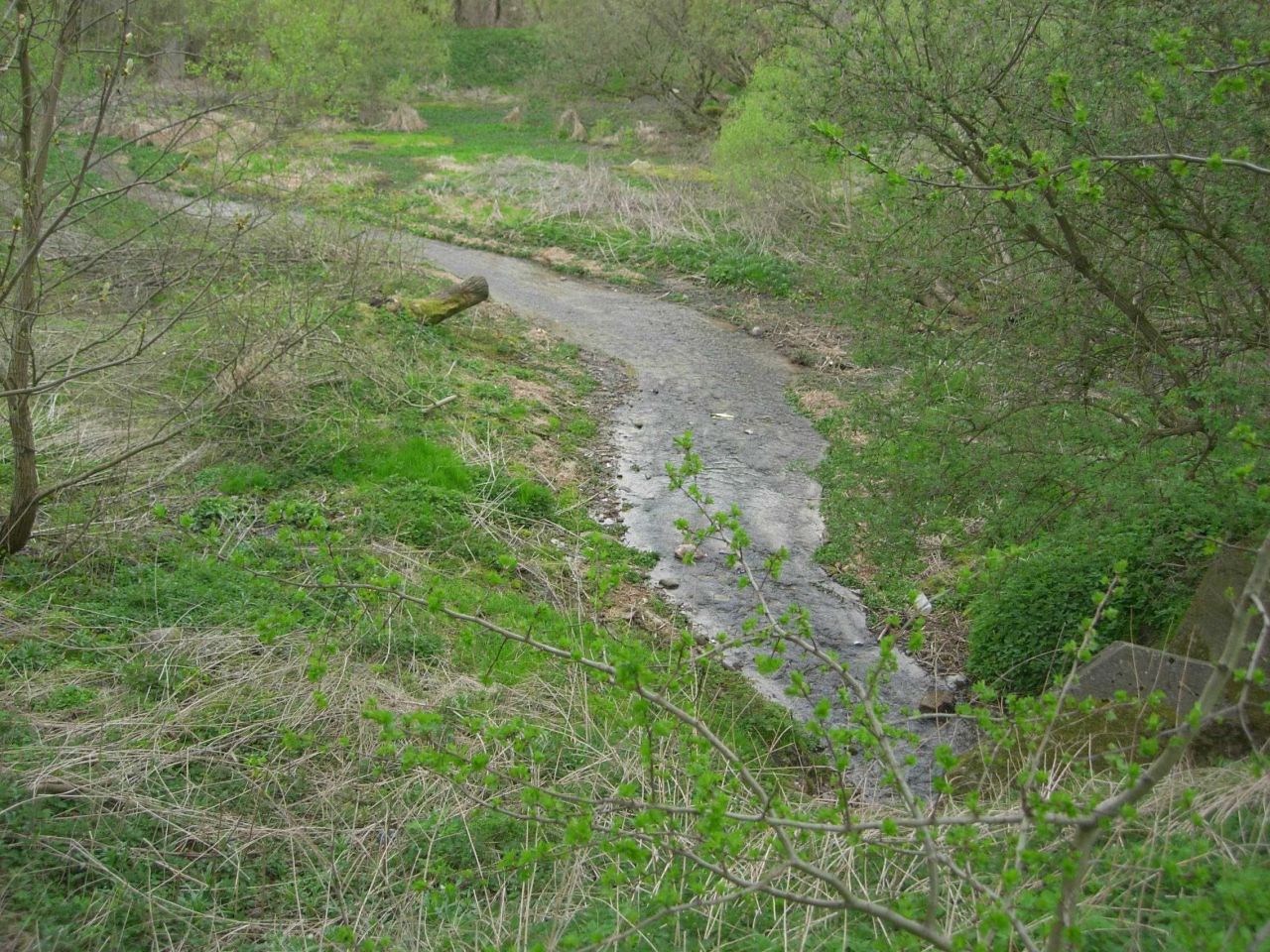 Działka budowlana Pęczerzyno. Zdjęcie 7