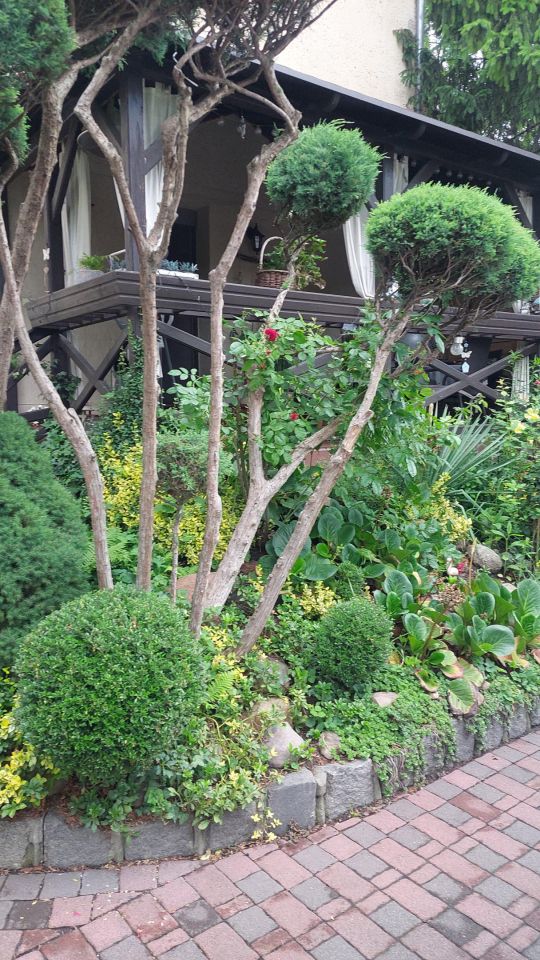 Mieszkanie 4-pokojowe Oława Centrum, ul. 1 Maja. Zdjęcie 3