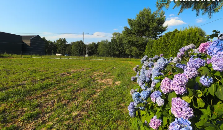 Działka budowlana Morawica