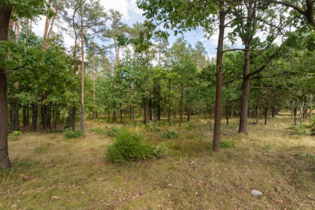 Działka budowlana Warszawa Wesoła. Zdjęcie 4