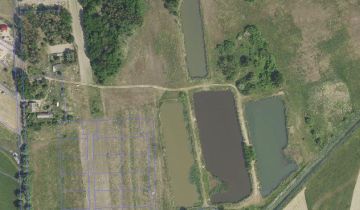 Działka rolna Nowy Lubusz