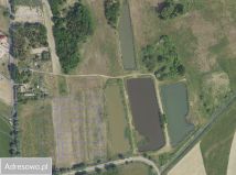 Działka rolna Nowy Lubusz. Zdjęcie 1