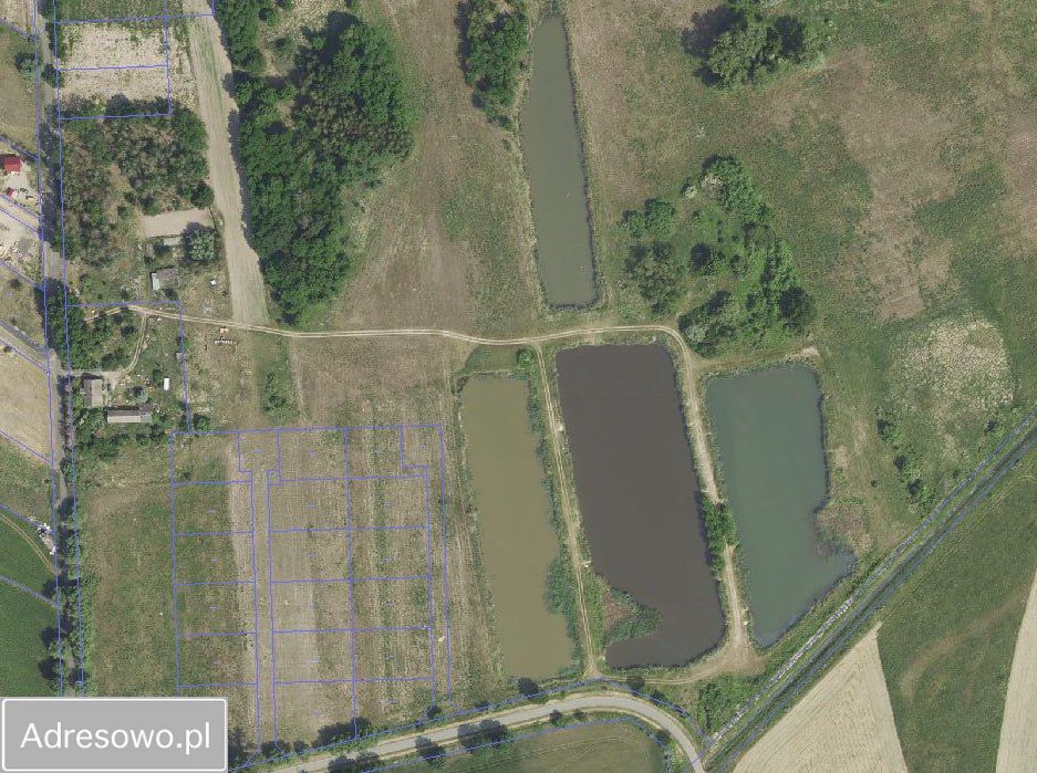 Działka rolna Nowy Lubusz. Zdjęcie 2