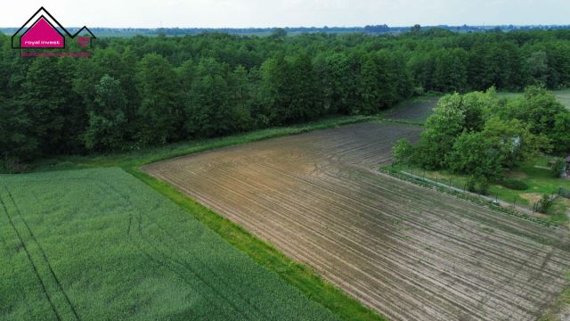 Działka budowlana Dobrosołowo. Zdjęcie 5