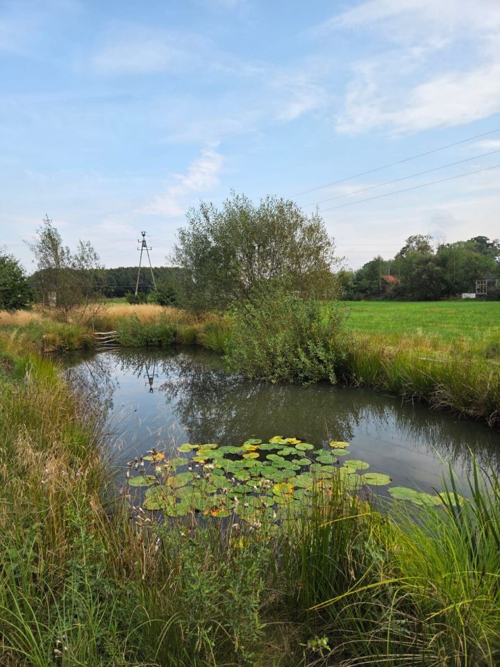 Działka rekreacyjna Trojanów. Zdjęcie 4