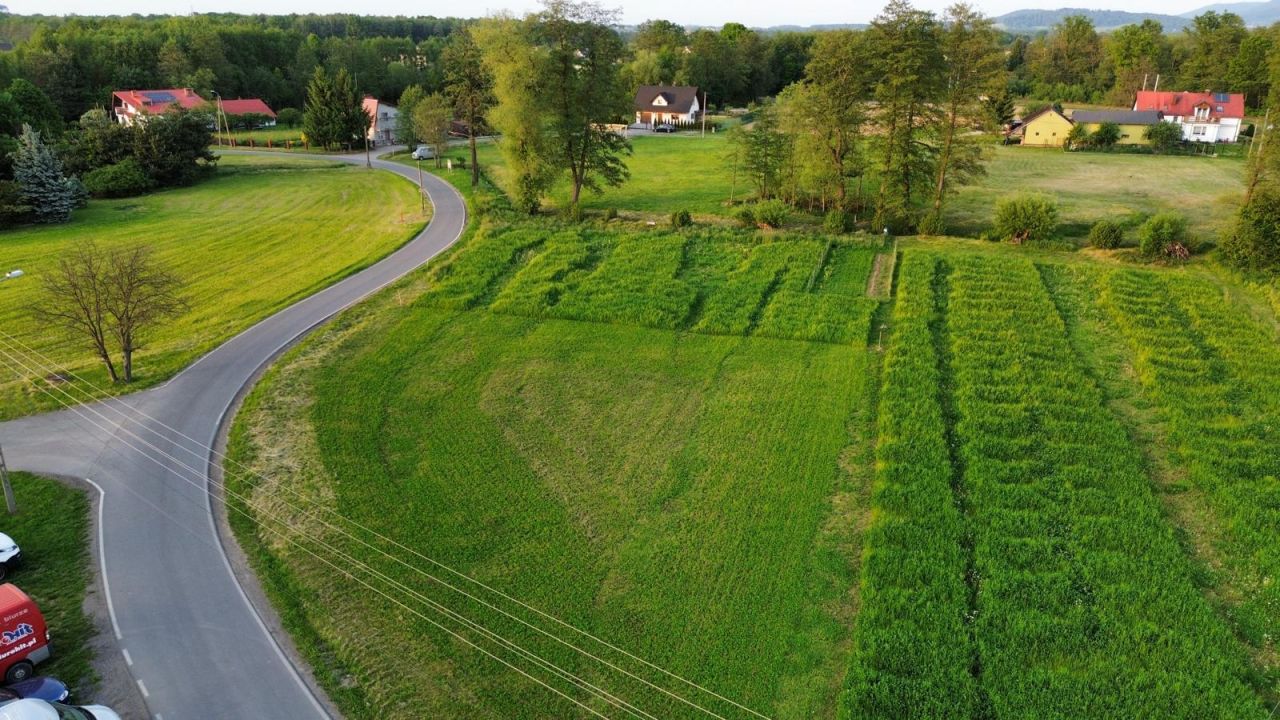 Działka budowlana Bładnice Dolne, ul. Beskidzka. Zdjęcie 1