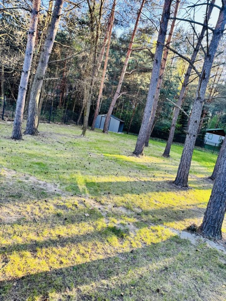 Działka rekreacyjna Czerwona Wola. Zdjęcie 3