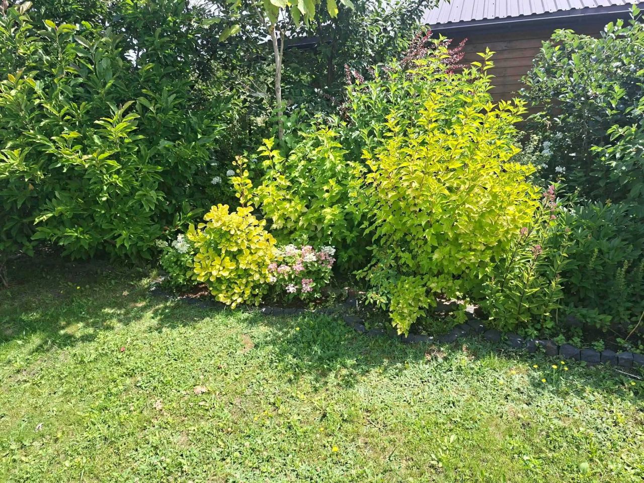 Działka rekreacyjna Wieliszew. Zdjęcie 6
