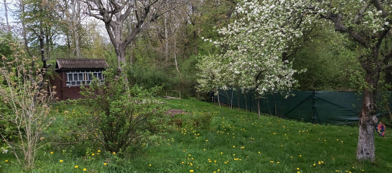 Działka rod Łapczyca. Zdjęcie 3