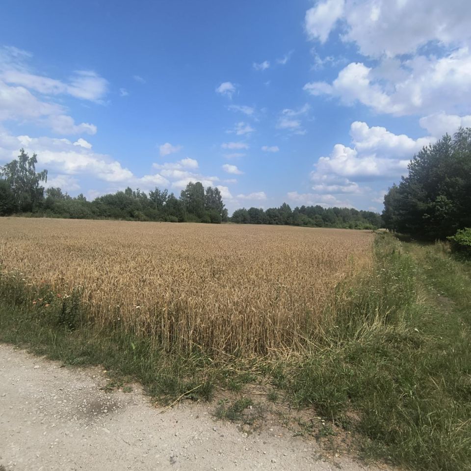 Działka rolno-budowlana Bęczkowice Poduchowne. Zdjęcie 6