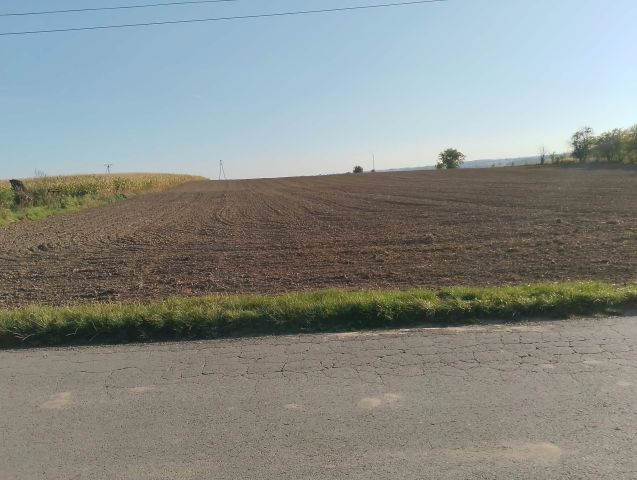 Działka budowlana Jaksice Góry. Zdjęcie 1