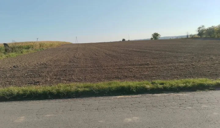 Działka budowlana Jaksice Góry