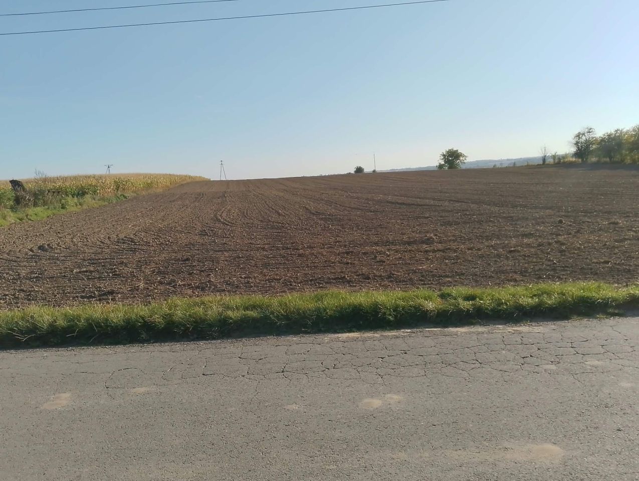 Działka budowlana Jaksice Góry. Zdjęcie 1
